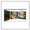 Digipack